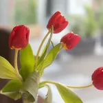 Il Borghetto Di شقة تورنو