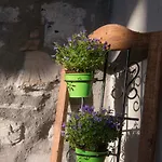 Il Borghetto Di شقة