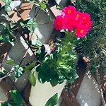 Il Borghetto Di شقة