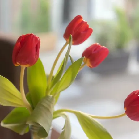 Il Borghetto Di Apartment Torno