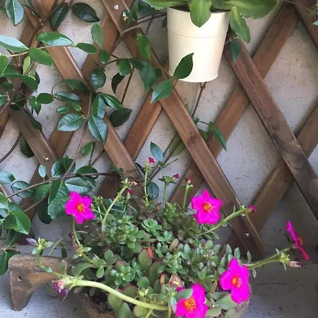 Il Borghetto Di * Torno