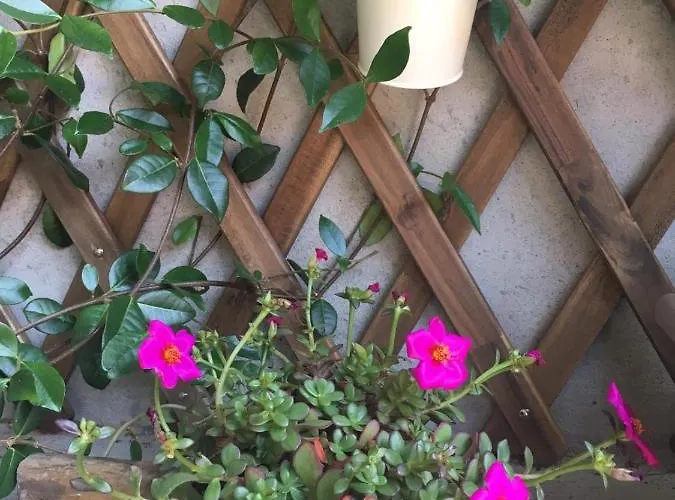 Il Borghetto Di * Torno