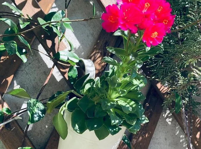 Il Borghetto Di アパート