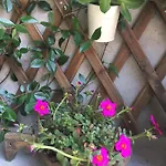 Il Borghetto Di * טורנו