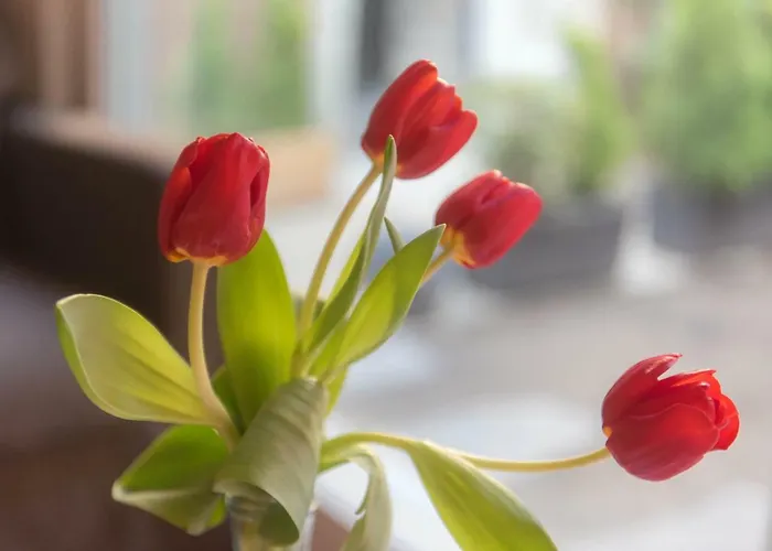 Il Borghetto Di Appartamento Torno