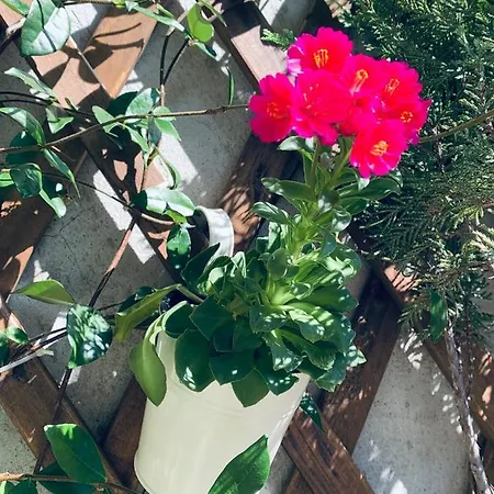 Il Borghetto Di 아파트